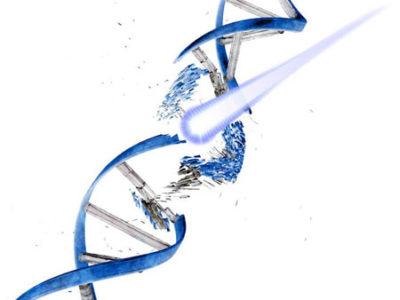 germicidal-uv-light-1